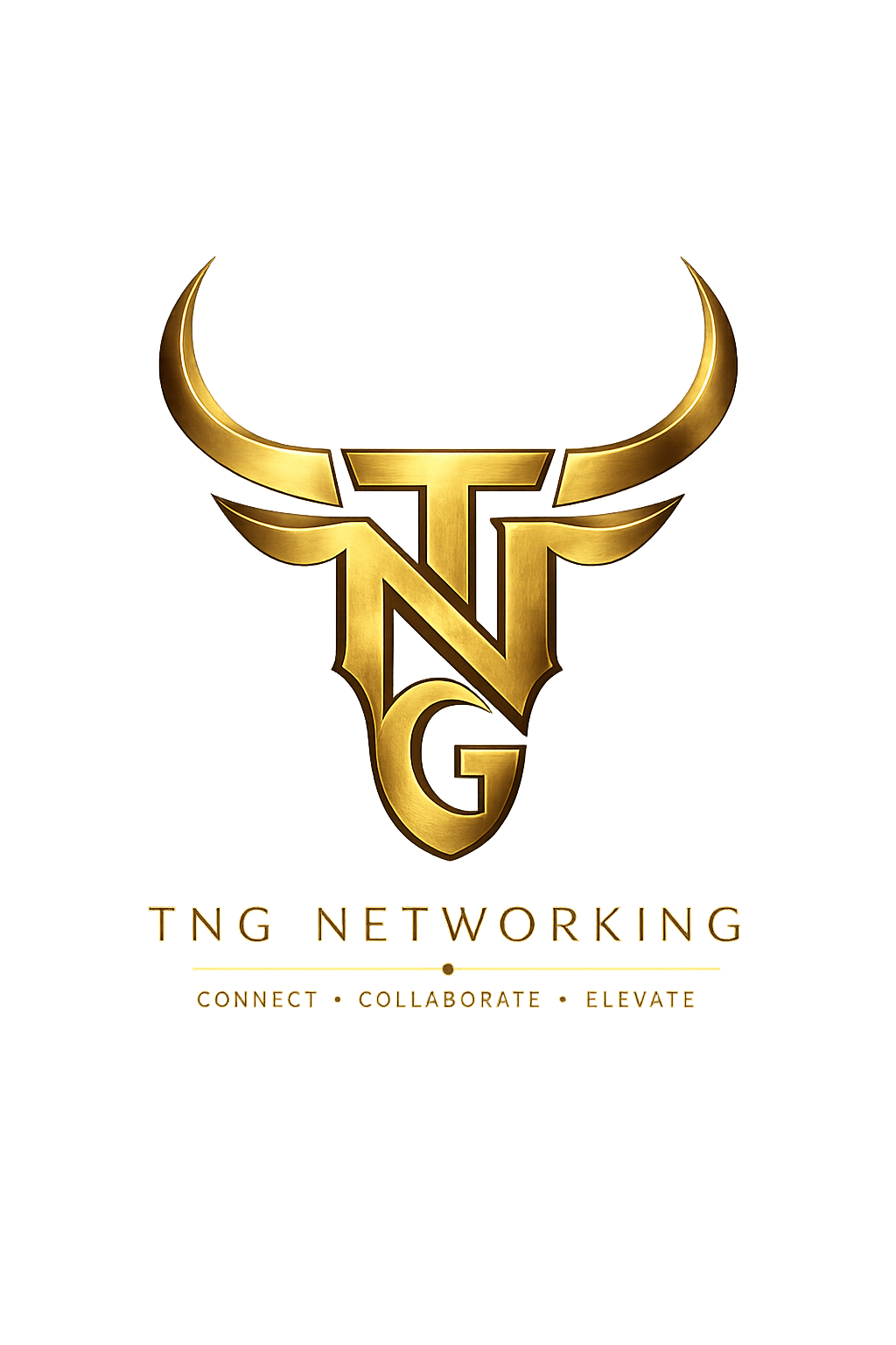 TnG Networking logo